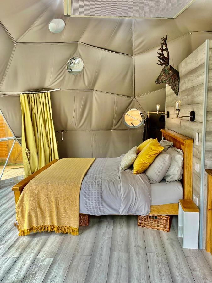 Luxury tent Cambridgeshire Glamping *