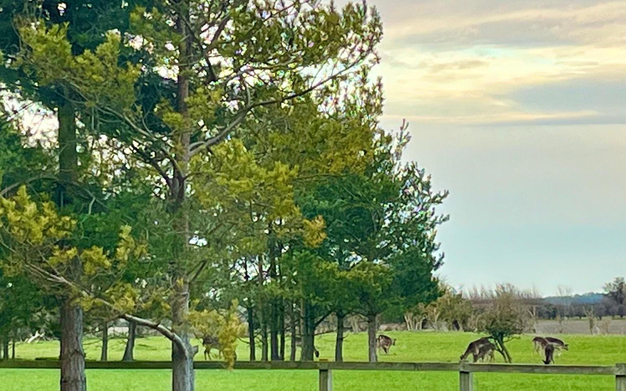 Cambridgeshire Glamping *